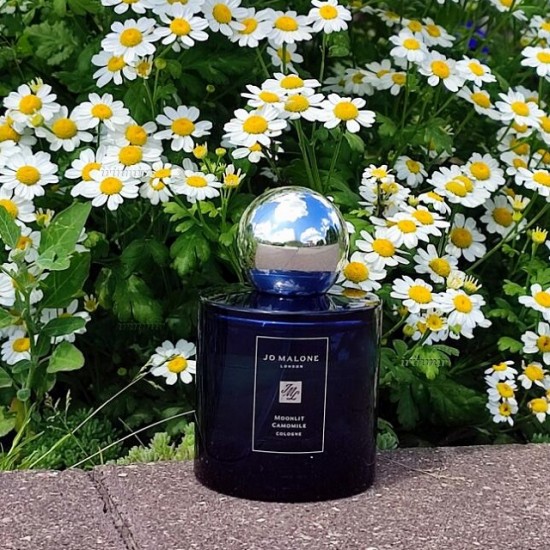 Jo Malone London Moonlit Camomile Jo Malone London Moonlit Camomile